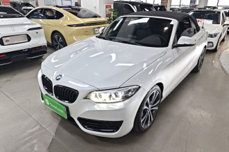 宝马2系(进口) 2019款 225i 敞篷轿跑车 运动设计套装