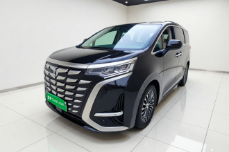 腾势D9 2024款 DM-i 1050 尊享型