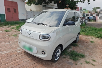五菱汽车 宏光MINIEV 2024款 第三代 215km 青春版
