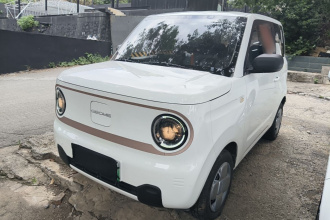 吉利银河 2023款 熊猫mini 200km 耐力熊