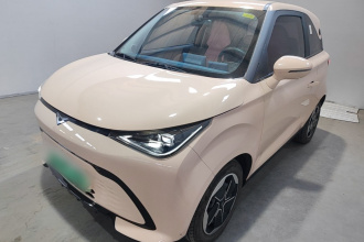 凯翼拾月 2023款 301km 追风版