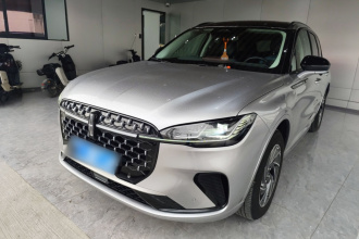 林肯 冒险家 2024款 1.5T 两驱尊享混动版