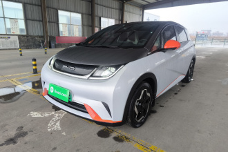 比亚迪 海豚 2021款 405km 时尚版