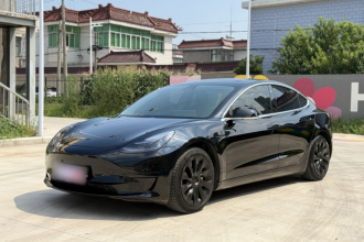 特斯拉 Model 3 2019款 标准续航后驱升级版