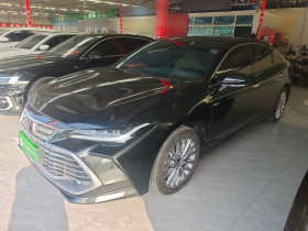 丰田 亚洲龙 2024款 双擎 2.0L 豪华版