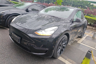 特斯拉 Model Y 2021款 长续航全轮驱动版 3D7