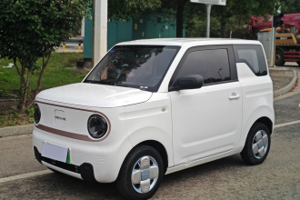 吉利银河 2023款 熊猫mini 120km 超萌熊