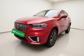 魏牌 VV5 2020款 1.5T 两驱智先锋