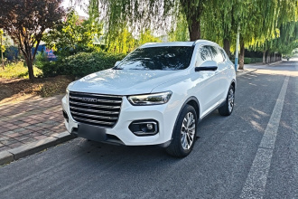 哈弗H6 2020款 2.0GDIT 自动铂金冠军版