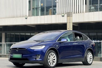 特斯拉 Model X 2019款 长续航版