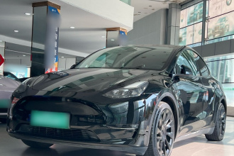 特斯拉 Model Y 2021款 标准续航后驱版