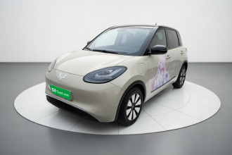 五菱汽车 五菱缤果 2024款 333km 悦享款