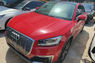 奥迪Q2L e-tron 2019款 Q2L e-tron 纯电智享型