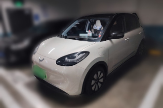 五菱汽车 五菱缤果 2024款 333km 悦享款