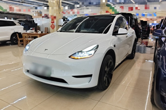 特斯拉 Model Y 2023款 后轮驱动版