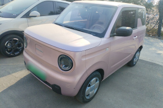 吉利银河 2024款 熊猫mini 200km 耐力熊