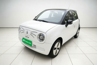 欧拉黑猫 2021款 301km 基础型