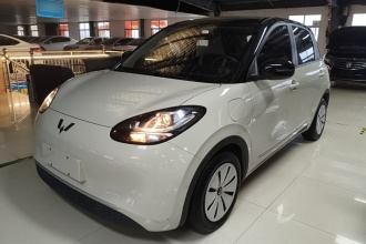 五菱汽车 五菱缤果 2023款 333km 快享款