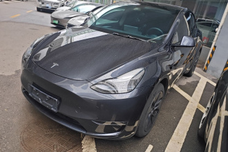 特斯拉 Model Y 2024款 长续航全轮驱动版