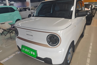吉利银河 2024款 熊猫mini 200km 耐力熊