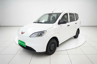 五菱汽车 五菱宏光新能源 2024款 纯电版 300KM 标准型