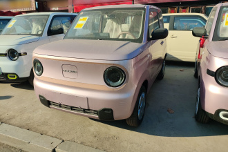 吉利银河 2024款 熊猫mini 200km 耐力熊