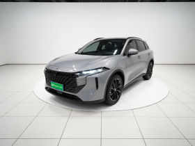 启辰大V 2021款 260T 天王版