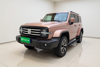 坦克300 2023款 城市版 2.0T 很有型