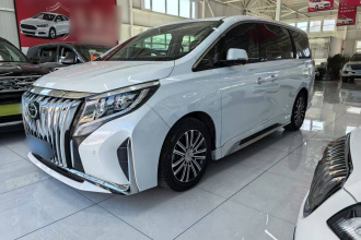 广汽传祺 传祺M8 2023款 领秀系列 390T 尊贵版