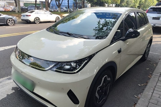 比亚迪 海豚 2025款 智驾版 420km 自由版