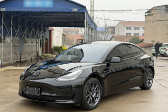 特斯拉 Model 3 2019款 标准续航后驱升级版