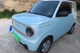 吉利银河 2024款 熊猫mini 200km 耐力熊