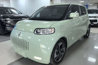 欧拉白猫 2022款 升级版 305km 豪华型 三元锂
