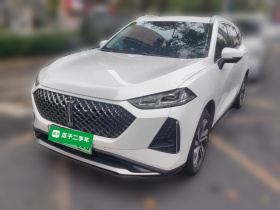 魏牌 玛奇朵 2021款 1.5L DHT特调版