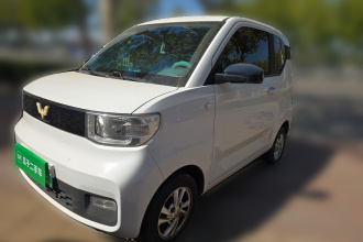 五菱汽车 宏光MINIEV 2020款 自在款 磷酸铁锂