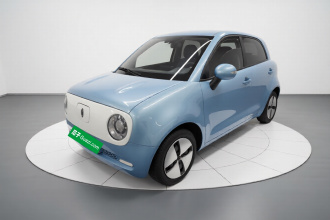 欧拉黑猫 2021款 301km 基础型