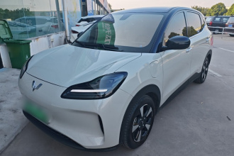 五菱汽车 五菱缤果PLUS 2024款 510km 五座版