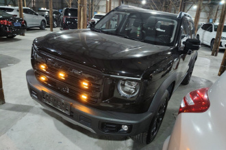 哈弗大狗 2024款 1.5T DCT边牧版