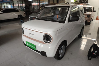 吉利银河 2024款 熊猫mini 200km 龙腾PRO版