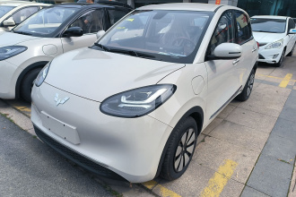 五菱汽车 五菱缤果 2025款 333km 悦享款