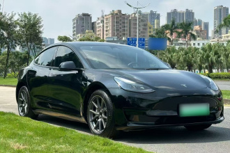 特斯拉 Model 3 2022款 后轮驱动版