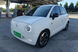 欧拉黑猫 2022款 351km 舒享型 三元锂