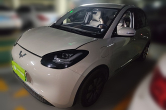 五菱汽车 五菱缤果 2023款 333km 悦享款