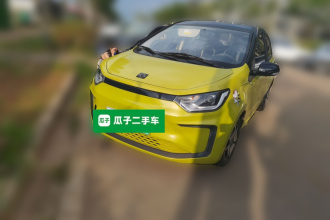 思皓 花仙子 2021款 200km 经典型