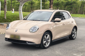 欧拉好猫 2022款 莫兰迪版 400km标准续航 尊贵型 磷酸铁锂