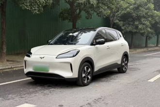 五菱汽车 五菱缤果PLUS 2024款 330km 五座版