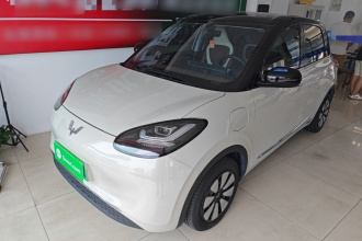 五菱汽车 五菱缤果 2024款 333km 悦享款