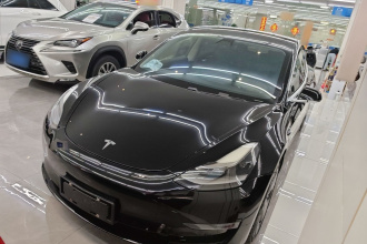 特斯拉 Model 3 2020款 改款 长续航后轮驱动版