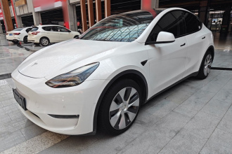 特斯拉 Model Y 2021款 标准续航后驱版