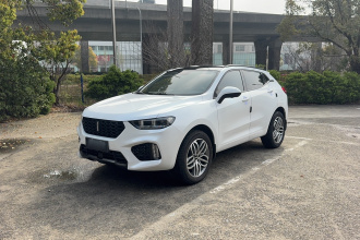 魏牌 VV5 2017款 2.0T 超豪型